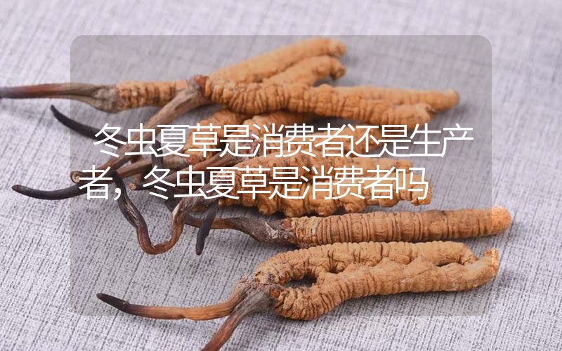 貧血吃冬蟲夏草有效果嗎，貧血虛弱者可以用冬蟲夏草嗎？