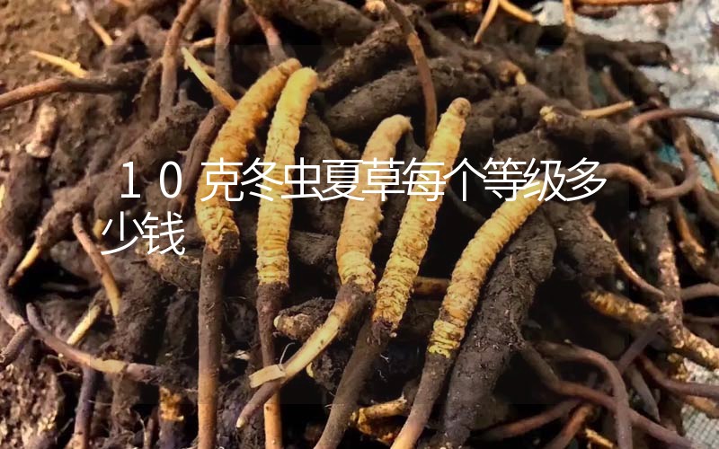 10克冬蟲夏草每個(gè)等級(jí)多少錢？