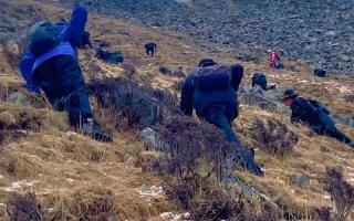 那曲比如縣各鄉(xiāng)鎮(zhèn)蟲(chóng)草采集點(diǎn)群眾進(jìn)點(diǎn)工作已基本完畢