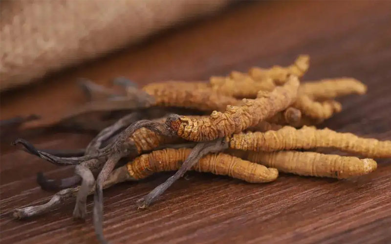 不同產(chǎn)地冬蟲(chóng)夏草價(jià)格差別大嗎？