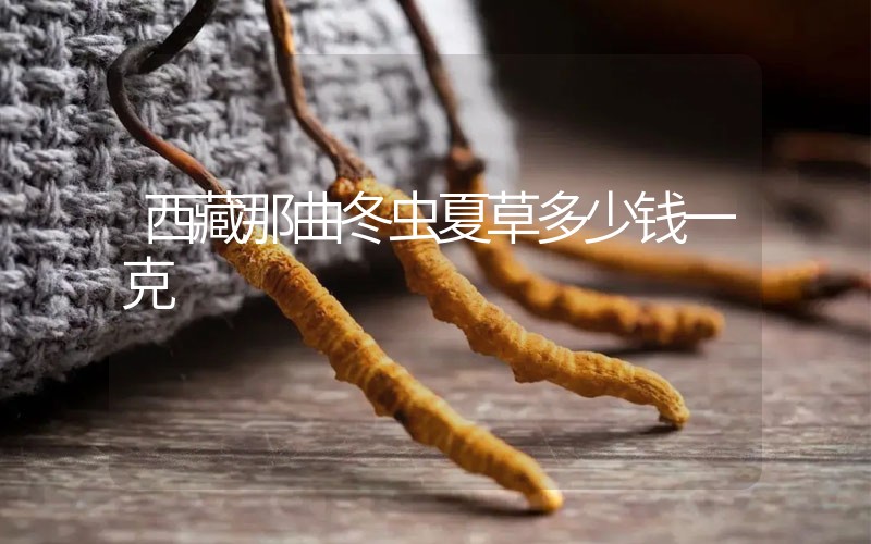 西藏那曲冬蟲(chóng)夏草多少錢(qián)一克？