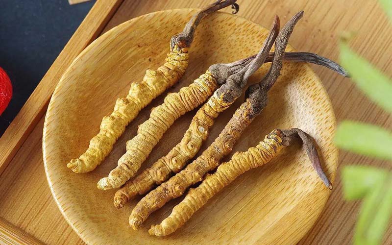 冬蟲(chóng)夏草作用可以調(diào)節(jié)身體肝臟功能嗎？