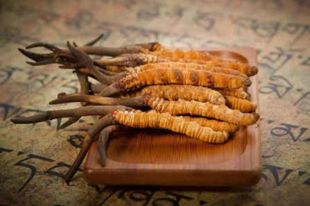 蟲(chóng)草就是冬蟲(chóng)夏草嗎？有多少人被假蟲(chóng)草忽悠