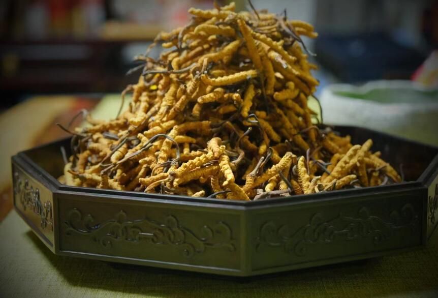 <a href=http://m.sdmkid.com/ target=_blank class=infotextkey>冬蟲夏草</a>