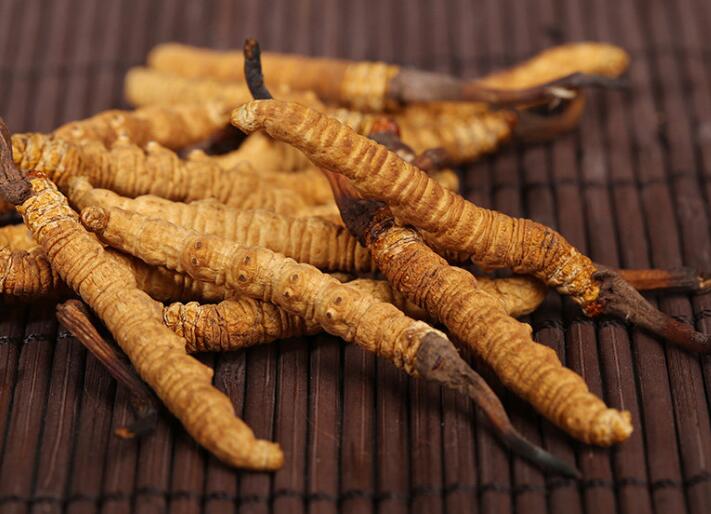 什么樣的冬蟲夏草算是優(yōu)質(zhì)的？