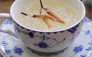 端午節(jié)應該怎么吃冬蟲夏草？