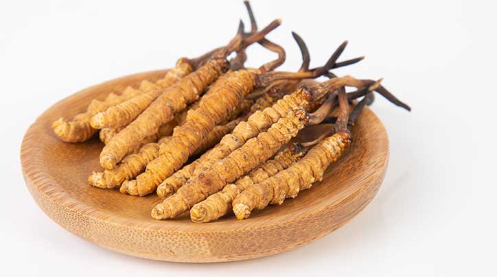 那曲市冬蟲夏草產業(yè)發(fā)展保護管理協會成功加入中國中藥協會