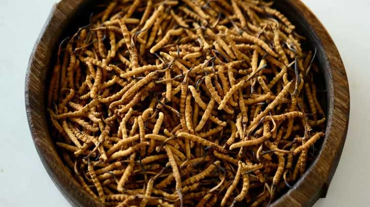 冬蟲(chóng)夏草_蟲(chóng)草價(jià)格-蟲(chóng)草產(chǎn)地直銷(xiāo)網(wǎng)【西藏那曲冬蟲(chóng)夏草】