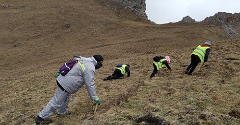 <a href=http://m.sdmkid.com/sdph/zf/ target=_blank class=infotextkey>珍峰冬蟲夏草</a>：源自世界屋脊的養(yǎng)生瑰寶