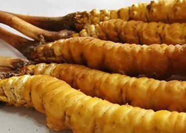 <a href=http://m.sdmkid.com/sdph/zf/ target=_blank class=infotextkey>珍峰冬蟲(chóng)夏草</a>主要的銷(xiāo)售模式