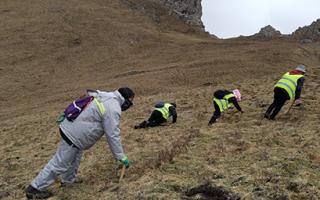 珍峰冬蟲(chóng)夏草：源自世界屋脊的養(yǎng)生瑰寶