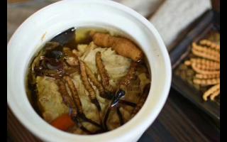 冬蟲夏草怎么食用？解鎖滋補(bǔ)養(yǎng)生的正確打開方式