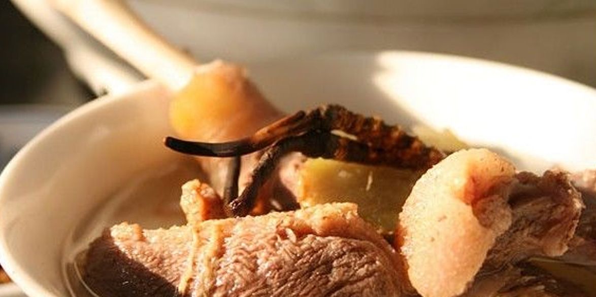 冬蟲(chóng)夏草怎么吃？多種食用方法全解析