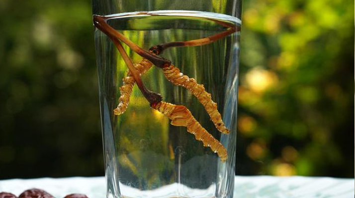 探秘五糧液冬蟲夏草酒價(jià)格：多維視角下的市場(chǎng)剖析