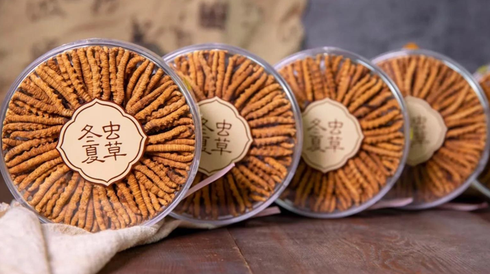 <a href=http://m.sdmkid.com/chanpin/ target=_blank class=infotextkey>冬蟲夏草一盒多少錢</a>？全方位剖析價格構成