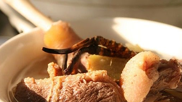 冬蟲夏草煲湯指南