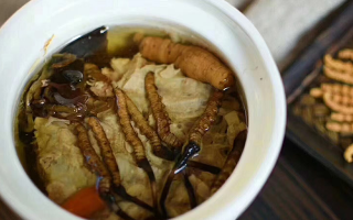 新鮮冬蟲夏草的食用指南：解鎖滋補(bǔ)新方式? ? ? ?