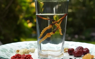 冬蟲夏草鮮品泡酒：養(yǎng)生佳釀還是健康隱患？