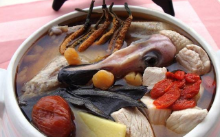 冬蟲(chóng)夏草配什么煲湯好？營(yíng)養(yǎng)美味的搭配指南
