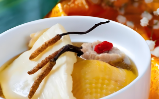 冬蟲夏草每天什么時(shí)候吃最好？一文詳解最佳食用時(shí)間