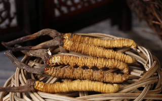 冬蟲(chóng)夏草價(jià)格：波動(dòng)中的 “軟黃金” 價(jià)值剖析