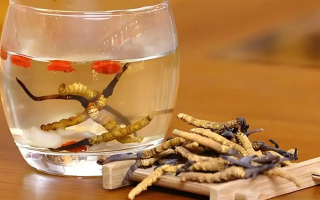 小孩喝冬蟲(chóng)夏草水好不好