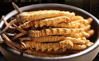 冬蟲夏草和葛根哪個更好