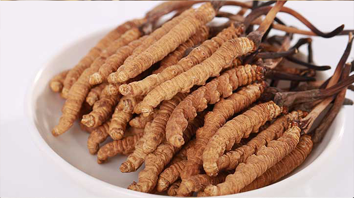 西藏特產(chǎn)冬蟲(chóng)夏草藏紅花