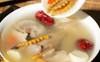 老人可以喝冬蟲夏草茶嗎？科學飲用的養(yǎng)生指南