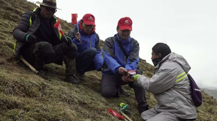 冬蟲夏草：把握最佳采摘季，守護(hù)自然饋贈(zèng)