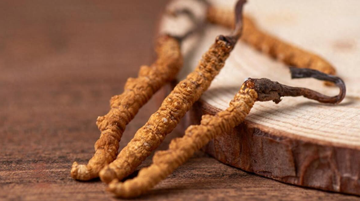 純野生<a href=http://m.sdmkid.com/jiage/ target=_blank class=infotextkey>冬蟲夏草價格</a>剖析：多因素交織下的價值體現(xiàn)