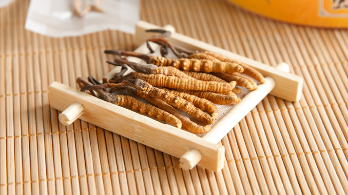 冬蟲夏草可以干燥存放嗎？科學(xué)儲存方法與注意事項