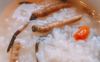 冬蟲夏草適合哪些人群？精準匹配與禁忌提醒