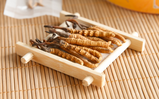 冬蟲夏草老鴨湯怎么燉？鮮香滋補的詳細(xì)做法與技巧