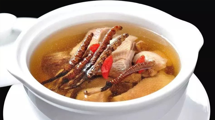 冬蟲夏草怎樣燉是最好的？掌握這幾步，營養(yǎng)不流失還美味
