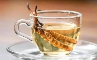 用酒泡冬蟲夏草能喝嗎？了解這些，安全飲用更滋補(bǔ)