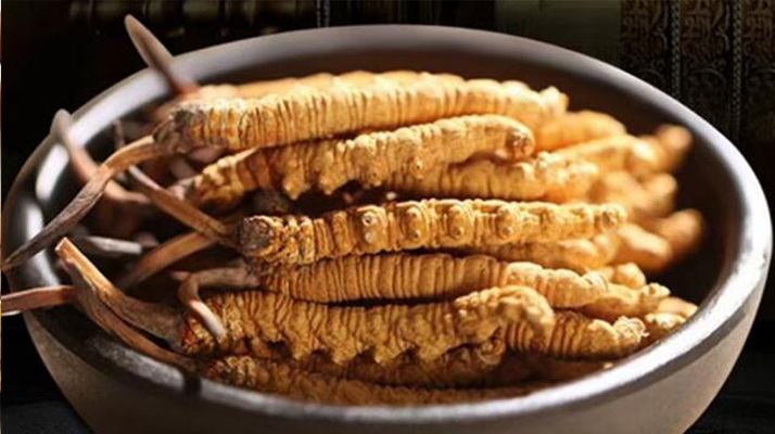 解密冬蟲(chóng)夏草的稀缺性：四大關(guān)鍵因素造就 “雪域黃金”