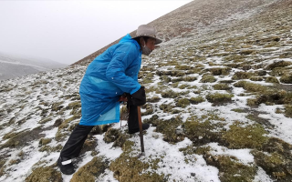 西藏挖冬蟲夏草在什么時候？產(chǎn)區(qū)與時間全攻略