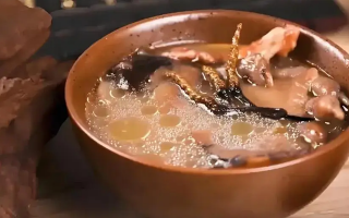 冬蟲(chóng)夏草治什么病效果好？厘清輔助調(diào)理邊界與適用場(chǎng)景