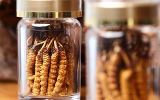 送冬蟲(chóng)夏草給男孩子好嗎？分場(chǎng)景分析 + 送禮建議