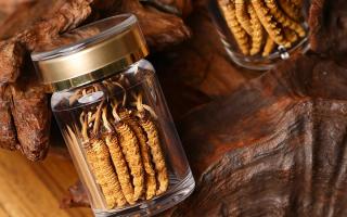 鮮冬蟲夏草泡水后怎么保存？3 種場景保存方法 + 避坑指南