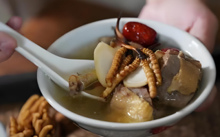  冬蟲(chóng)夏草和什么食材搭配煲湯比較好？