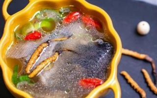 那曲冬蟲夏草辨別全指南｜教你避開市場(chǎng)陷阱，認(rèn)準(zhǔn)正宗珍品