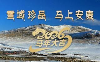 雪域高原藏珍品，2026愿您馬上安康——來自西藏那曲蟲草網(wǎng)的新春祝福