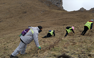 深耕那曲雪域，甄選正宗好草——2026那曲冬蟲夏草優(yōu)質(zhì)品牌盤點